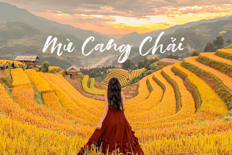 Check-in Mù Cang Chải mùa lúa chín